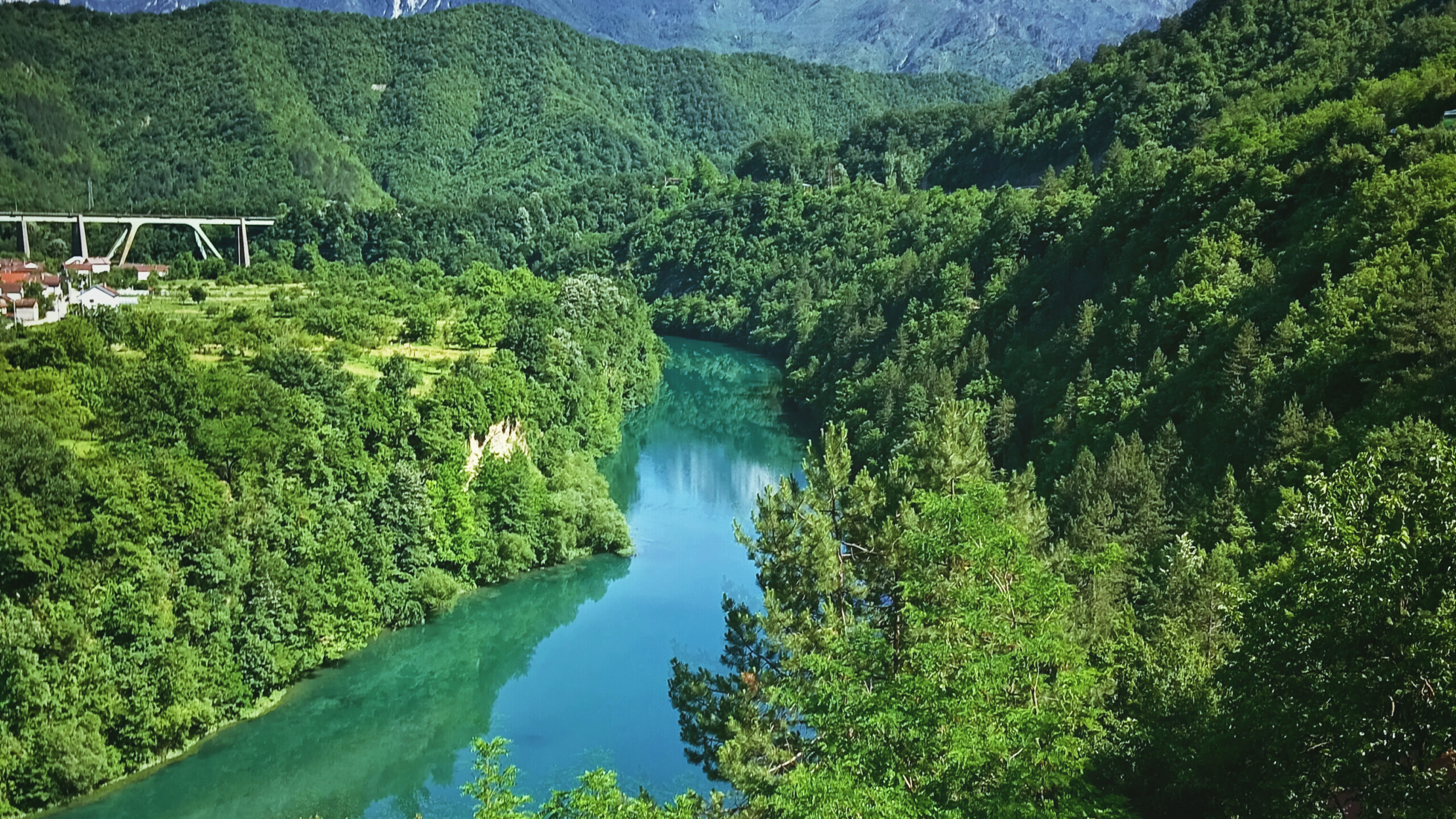 Bosna