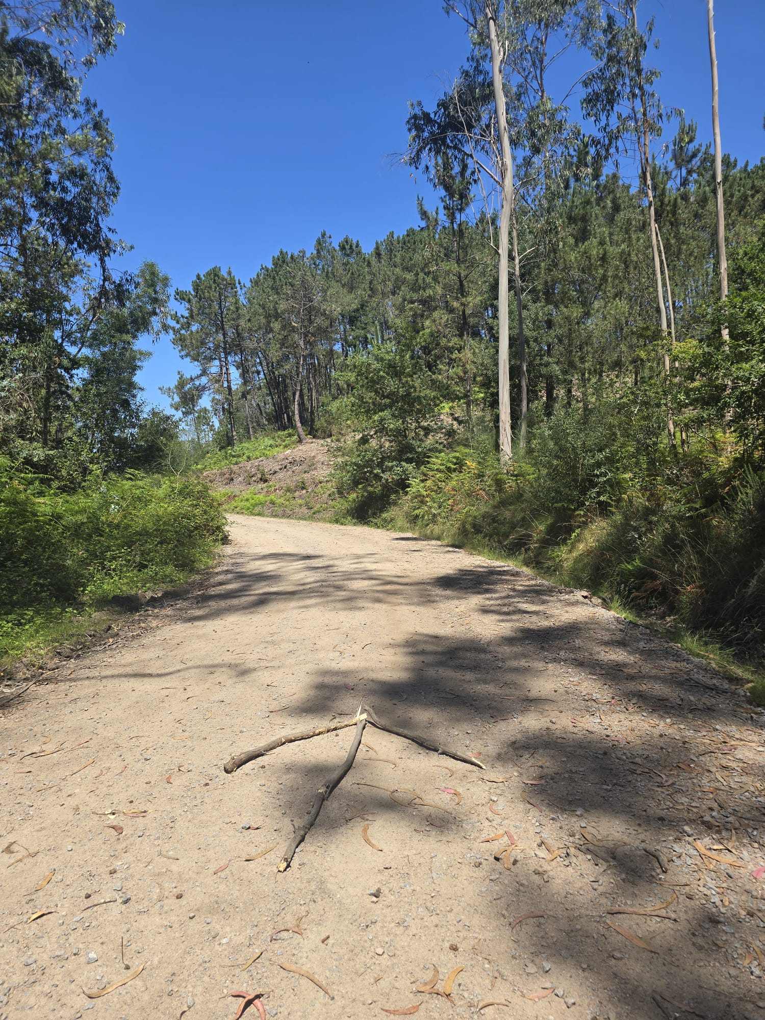 FATIMA – CAMINO (portugalska ruta)