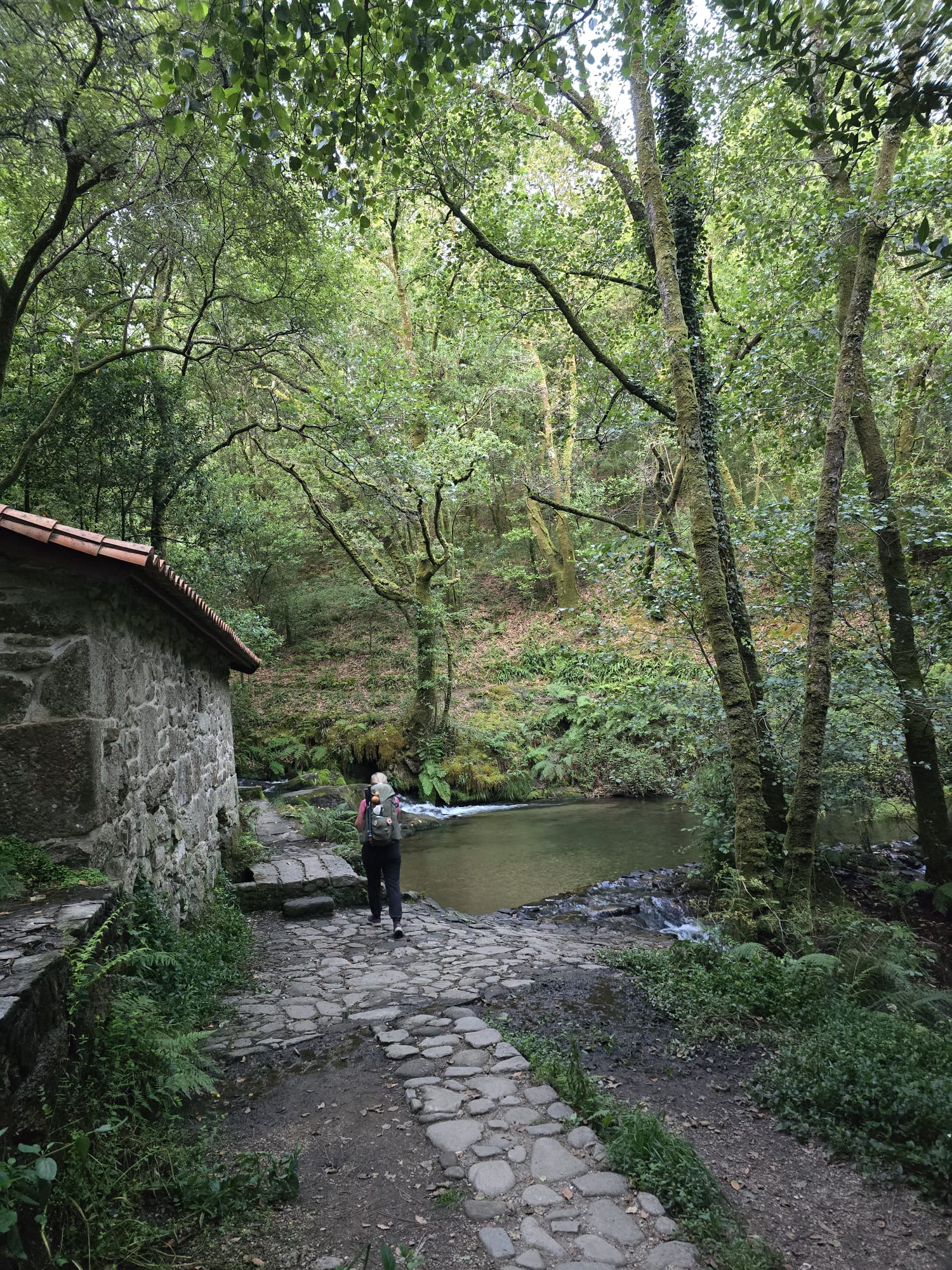 FATIMA – CAMINO (portugalska ruta)